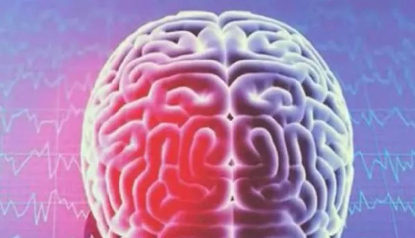 ଭାରତୀୟଙ୍କ ମସ୍ତିଷ୍କ ଅନ୍ୟ ଦେଶ ତୁଳନାରେ ଛୋଟ, ଗବେଷଣାରୁ ହେଲା ସ୍ପଷ୍ଟ