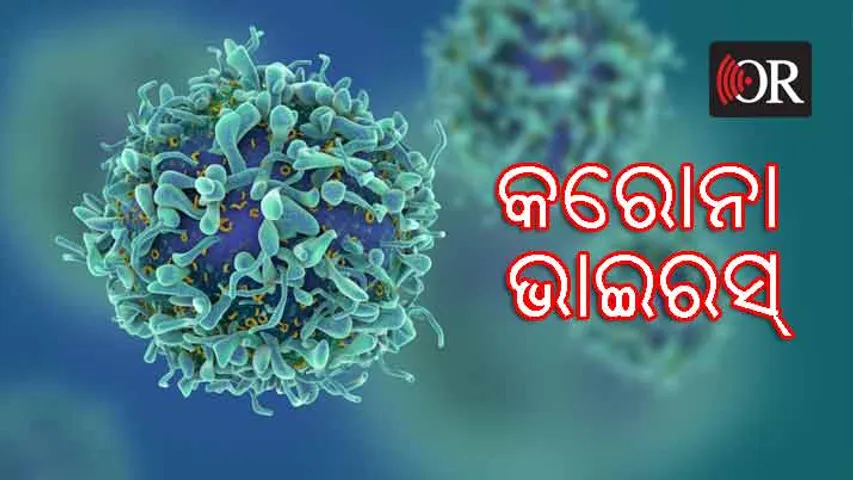 ଜାଣି ନିଅନ୍ତୁ କରୋନାର ଲକ୍ଷଣ ଓ ମୁକାବିଲା କରିବାର ଉପାୟ