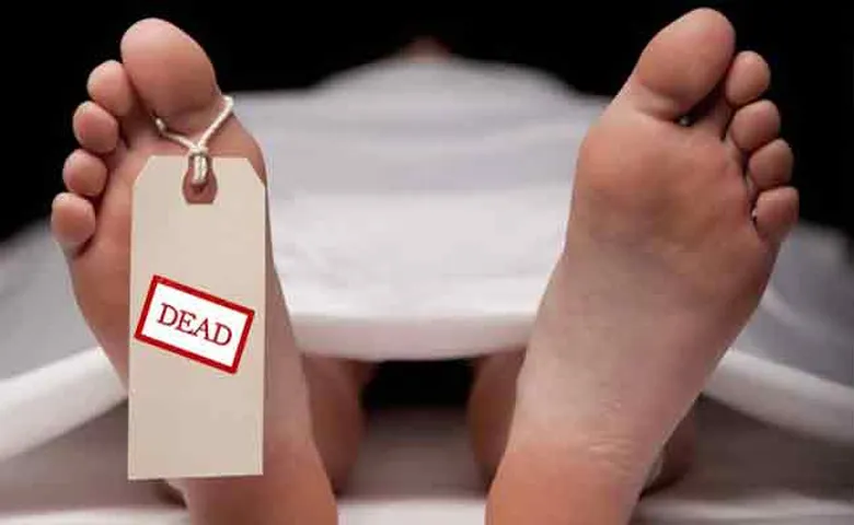 ଘରେ ପଶି ଦଳି ଦେଲା ହାତୀ