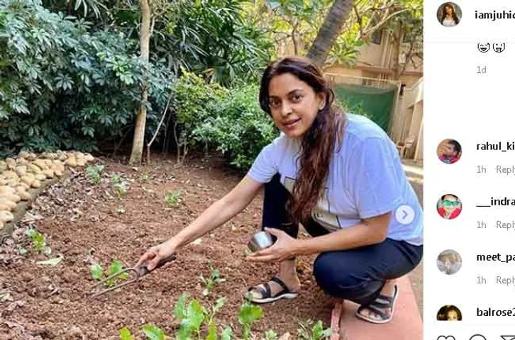 ପରିବା ଚାଷରେ ମାତିଛନ୍ତି ଜୁହି