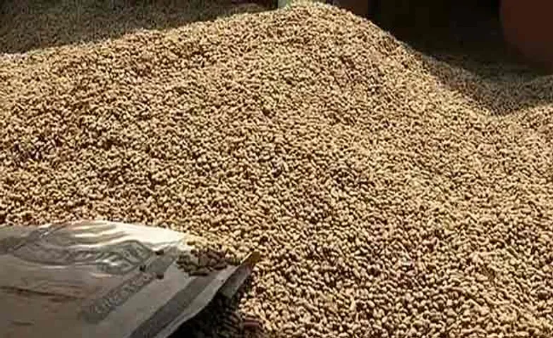 ବାଦାମ କିଣାରେ ଦୁର୍ନୀତି ଅଭିଯୋଗରେ ଲ୍ୟାମ୍ପସ ଏମ୍‌ଡି ନିଲମ୍ୱିତ