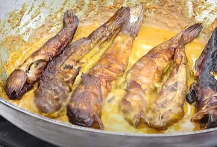 ଟୋଲ୍‌ ମାଛ ବେସର