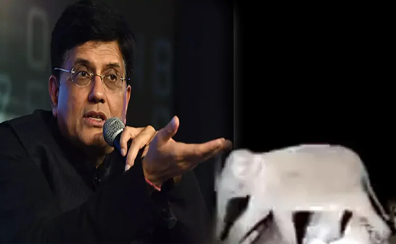 ଲୋକ ପାଇଲଟଙ୍କ ମଣିଷପଣିଆ ପାଇଁ ପ୍ରଶଂସା କଲେ ରେଳମନ୍ତ୍ରୀ