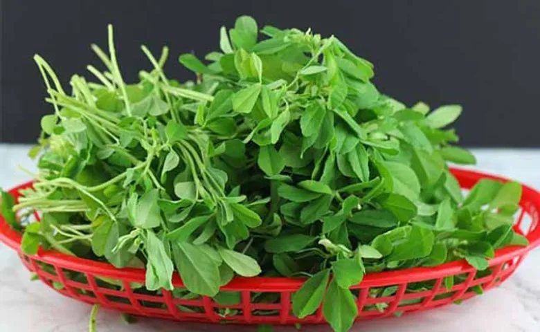 ହୃଦରୋଗୀଙ୍କ ପାଇଁ ହିତକର ମେଥି ଶାଗ