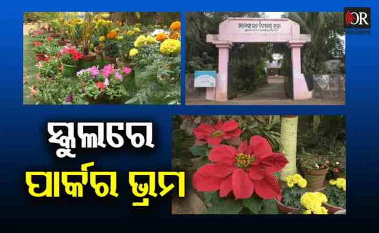 ସ୍କୁଲରେ ପାର୍କର ଭ୍ରମ