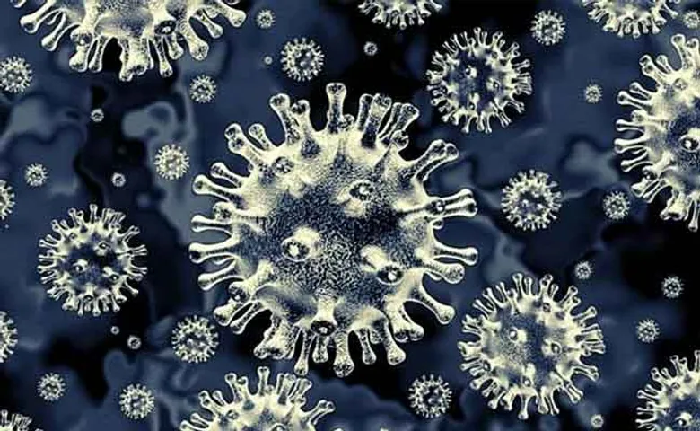 ରାଜ୍ୟରେ ବ୍ଲକ୍ ଫଙ୍ଗସ ନେଲାଣି ୨୯ ଜୀବନ