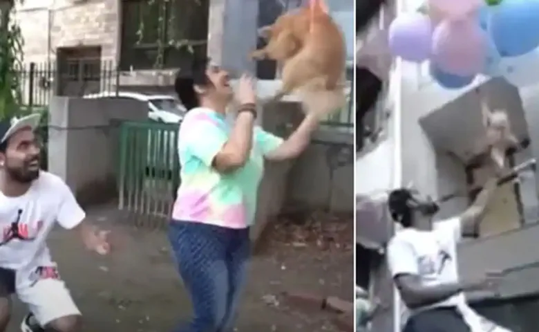 ହାଇଡ୍ରୋଜେନ୍ ବେଲୁନରେ କୁକୁରକୁ ବାନ୍ଧି ଉଡ଼ାଇ ଗିରଫ ହେଲେ ୟୁଟ୍ୟୁବର୍