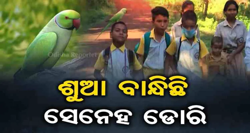 ବନ୍ଧୁତା ଯୋଡ଼ିଛି ଶୁଆ