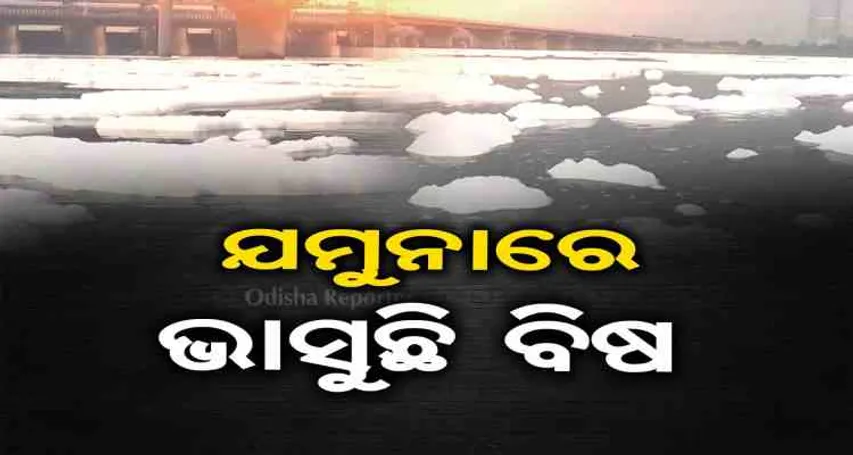 ଯମୁନାରେ ଭାସୁଛି ବିଷ