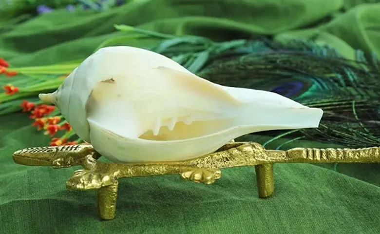 ଶଙ୍ଖ ଦ୍ୱାରା କେମିତି ଦୂର କରିବେ ବାସ୍ତୁଦୋଷ? କେଉଁ ଶଙ୍ଖ ପୂଜା କଲେ ହୁଏ ଧନପ୍ରାପ୍ତି?