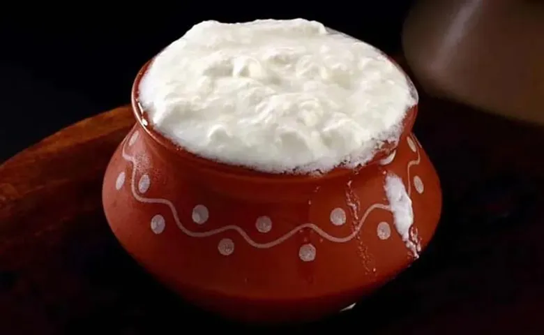 ବର୍ଷା ଦିନେ ଦହିକୁ କୁହନ୍ତୁ ନା', ନଚେତ ହୋଇପାରେ ଘାତକ