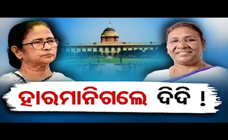 ହାର ମାନିଗଲେ ଦିଦି!