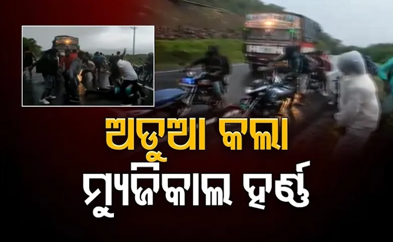 ଅଡୁଆ କଲା ମ୍ୟୁଜିକାଲ ହର୍ଣ୍ଣ