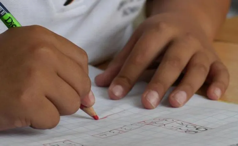 ପିଲାଙ୍କ ହୋମ୍‌ୱାର୍କ ବୋଝ