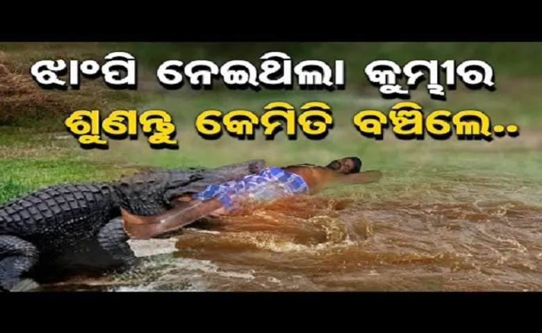 ଝାମ୍ପି ନେଇଥିଲା କୁମ୍ଭୀର