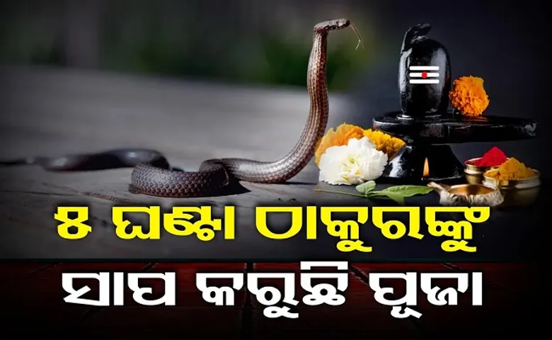 ୫ ଘଣ୍ଟା ଠାକୁରଙ୍କୁ ପୂଜା କରୁଛି ସାପ!