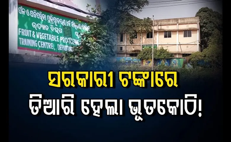 ଭୂତଙ୍କ ପାଇଁ କୋଠା କଲେ ସରକାର!