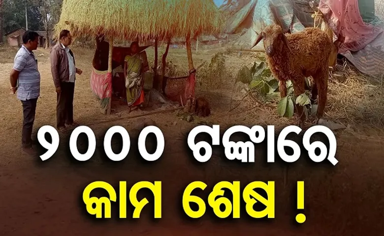 ୨୦୦୦ ଟଙ୍କାରେ କାମ ଶେଷ!