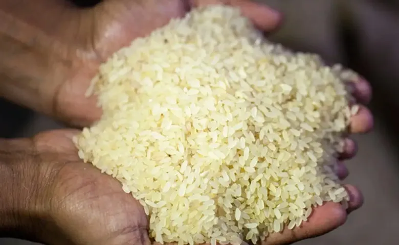 ଖାଦ୍ୟ ନିରାପତ୍ତା ନା ଭୋଟ ସୁରକ୍ଷା?