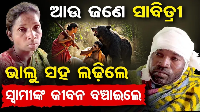 ଆଉ ଜଣେ ସାବିତ୍ରୀ, ଭାଲୁ ସହ ଲଢିଲେ, ସ୍ବାମୀଙ୍କ ଜୀବନ ବଞ୍ଚାଇଲେ || Brave Woman Battles Bear Pack || OR