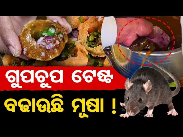ଗୁପଚୁପ ଟେଷ୍ଟ ବଢାଉଛି ମୂଷା ! || Gupchup( Pani Puri ) Lovers Must Watch! || Viral Video || OR