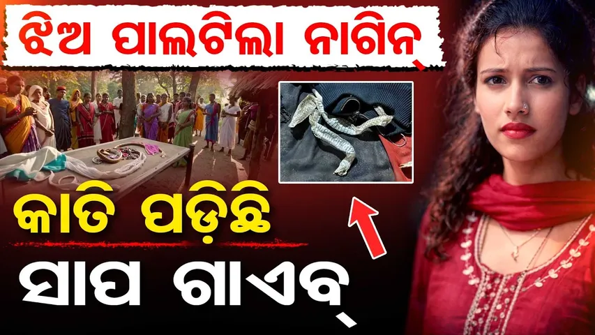 ରାତିରେ ଶୋଇଥିଲା ଝିଅ … ସକାଳୁ ସାପ ବେଶରେ ଗାଏବ୍ || UP Reena Shocking Incident || Nagin Mystery || OR