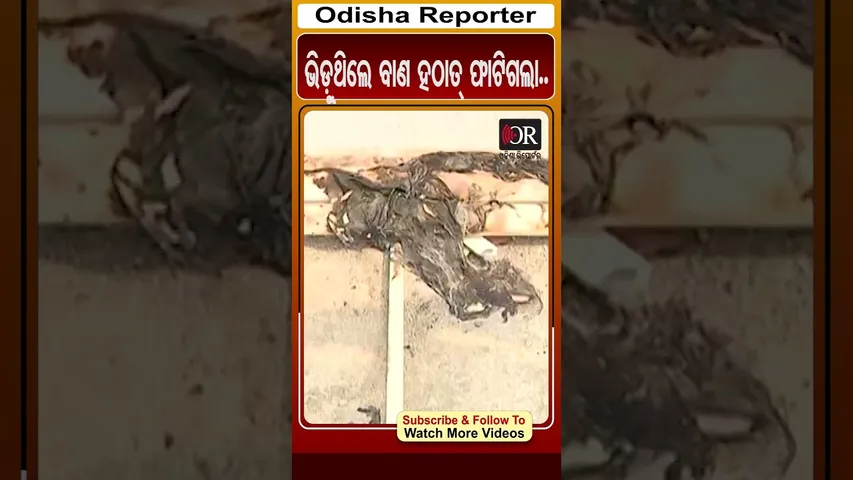 ଭିଡ଼ୁଥିଲେ ବାଣ ହଠାତ୍ ଫାଟିଗଲା.. | Odisha Reporter
