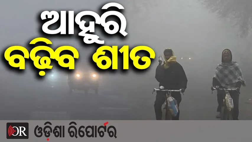 ଆହୁରି ବଢ଼ିବ ଶୀତ || New Year Cold Wave Alert || Odisha Weather Update || Odisha Reporter