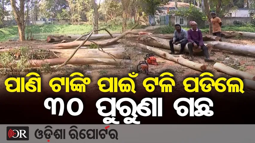 ପାଣି ଟାଙ୍କି ପାଇଁ ଟଳି ପଡିଲେ ୩୦ ପୁରୁଣା ଗଛ || Tree Cutting Amid Pollution Crisis || Balasore Collector
