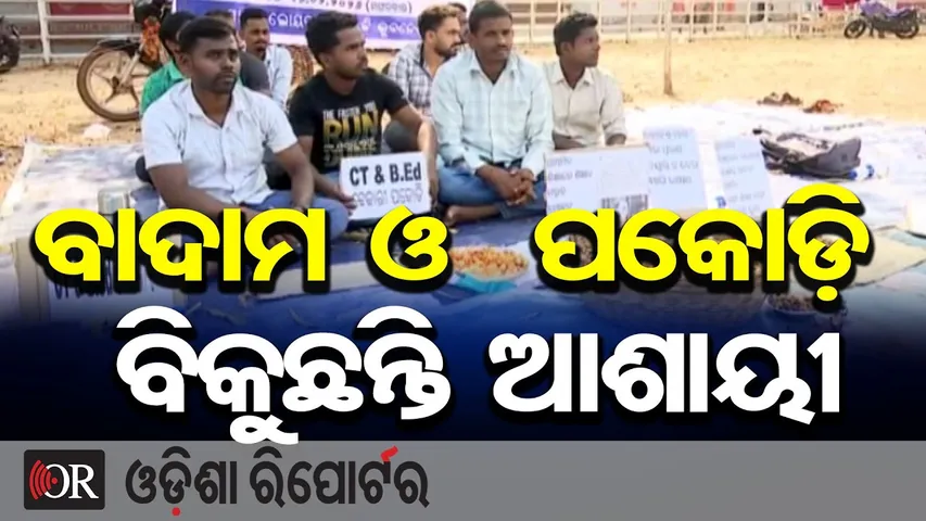 ବାଦାମ ଓ  ପକୋଡ଼ି ବିକୁଛନ୍ତି ଆଶାୟୀ  | Odisha Reporter