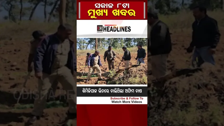ସକାଳ 8ଟାର ଖବର | Odisha Reporter #8amHeadlines