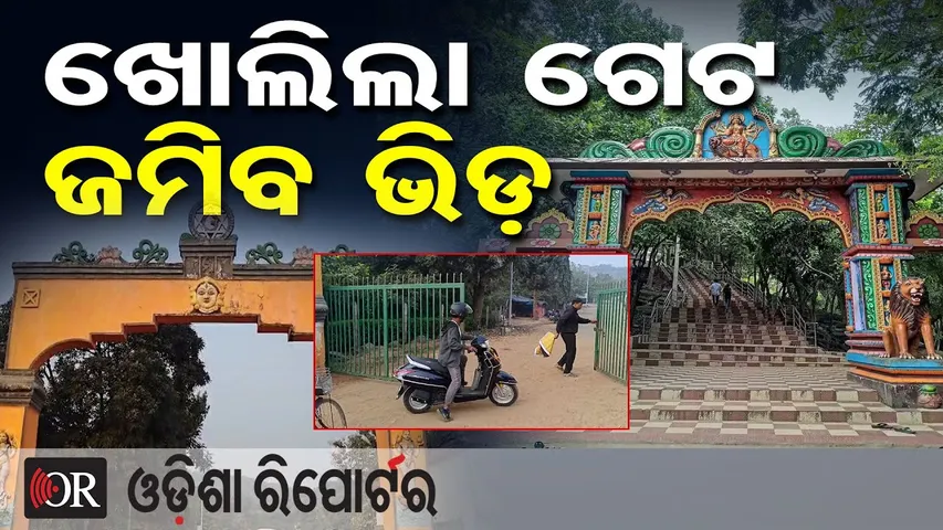 ଖୋଲିଲା ଗେଟ ଜମିବ ଭିଡ଼ | Good News for Tourists! Shikharchandi Hill Reopens After Elephant Movement |OR