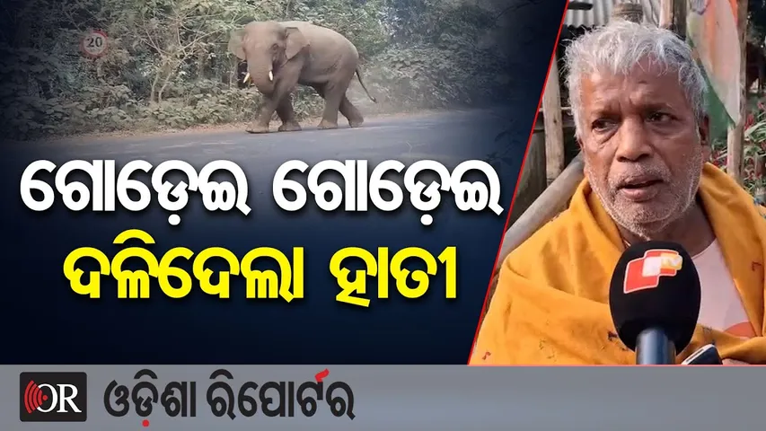 ଗୋଡ଼େଇ ଗୋଡ଼େଇ ଦଳିଦେଲା ହାତୀ | Wild Elephant Attack in Khaira, Balasore | Elderly Killed | OR
