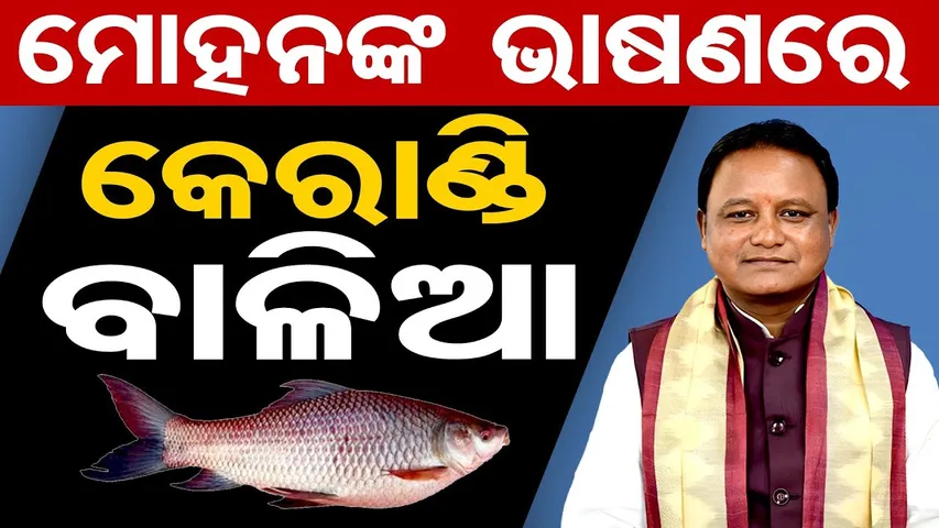 ମୋହନଙ୍କ ଭାଷଣରେ କେରାଣ୍ଡି ବାଳିଆ  || CM Mohan Majhi || Odisha Politics || Odisha Reporter