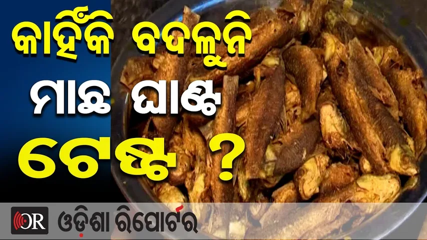 କାହିଁକି ବଦଳୁନି ମାଛ ଘାଣ୍ଟ ଟେଷ୍ଟ ? | Odisha Reporter