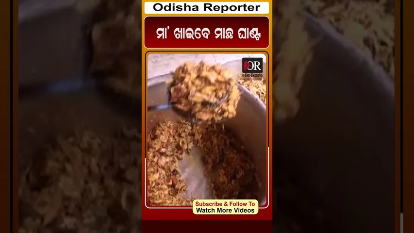 କଟକର ଆଲିଶା ବଜାର ପୂଜା କମିଟି ଏଠି ମା'ଙ୍କୁ ଲାଗିହୁଏ ମାଛ ଘାଣ୍ଟ | Odisha Reporter