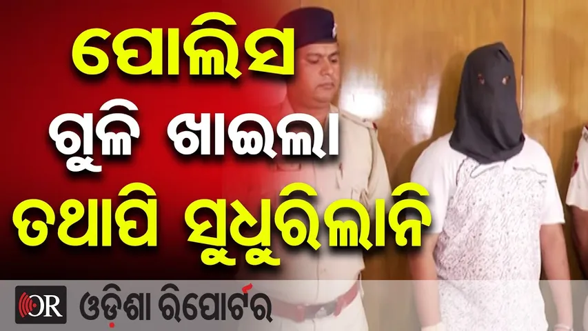ପୋଲିସ ଗୁଳି ଖାଇଲା ତଥାପି ସୁଧୁରିଲାନି | Odisha Reporter