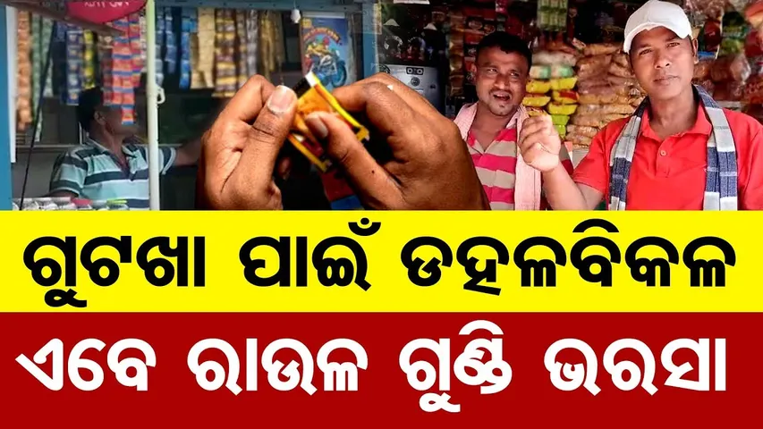 ଗୁଟଖା ପାଇଁ ଡହଳବିକଳ , ଏବେ ରାଉଳ ଗୁଣ୍ଡି ଭରସା  | Odisha Reporter