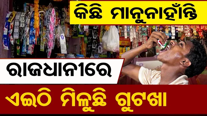 ବ୍ୟାନ୍ ପରେ ବଜାରରେ ଚଢ଼ା ରେଟ୍‌ରେ ମିଳୁଛି ଗୁଟକା  || Illegal Gutkha Market Exposed || Who Is Responsible?