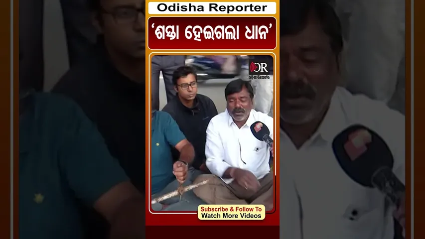 ‘ଶସ୍ତା ହେଇଗଲା ଧାନ’| #farmersprotest #sambalpur #odishareporter