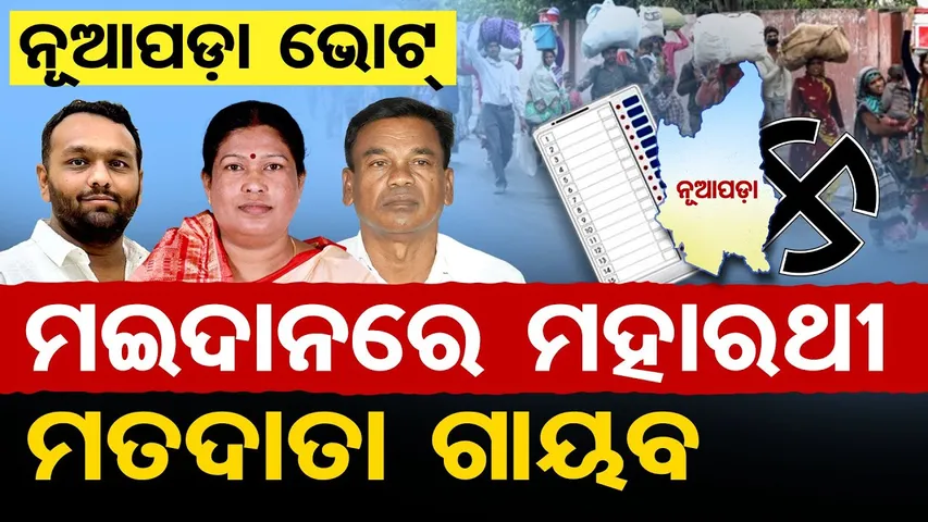 ନୂଆପଡା ଭୋଟ… ମଇଦାନରେ ମହାରଥି ମତଦାତା ଗାୟବ | Nuapada Election Fever | Nuapada Voters | Odisha Reporter