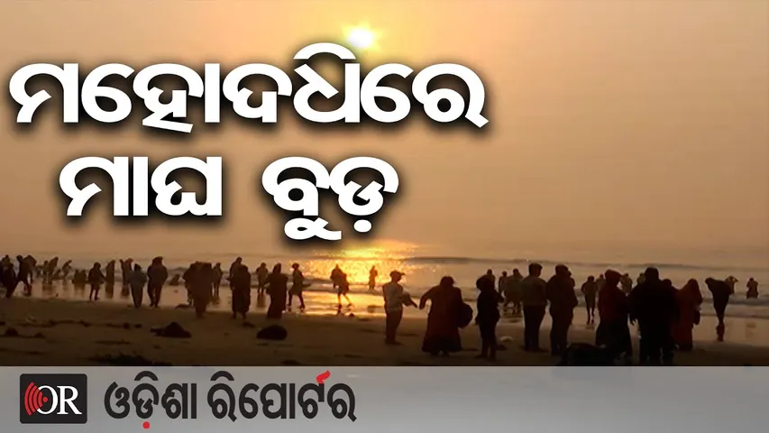 ମହୋଦଧିରେ ମାଘ ବୁଡ଼ | Odisha Reporter