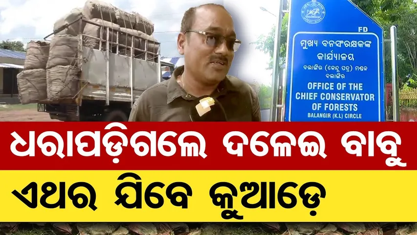ଧରାପଡ଼ିଲେ ଦଳେଇ ବାବୁ , ଏଥର ଯିବେ କୁଆଡ଼େ  | Odisha Reporter