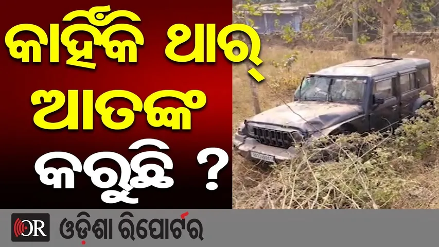 କାହିଁକି ଥାର୍ ଆତଙ୍କ କରୁଛି ?| Odisha Reporter