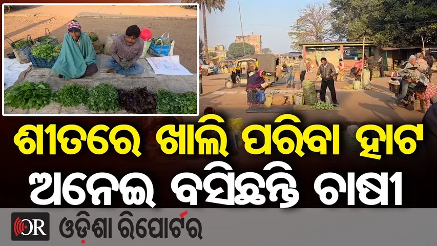 ଶୀତରେ ଖାଲି ପରିବା ହାଟ ଅନେଇ ବସିଛନ୍ତି ଚାଷୀ || Village Market || Extreme Cold Weather || Bonai || OR