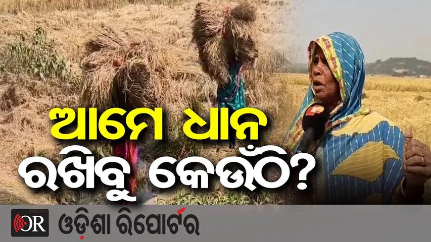 ଆମେ ଧାନ ରଖିବୁ କେଉଁଠି? | Odisha Reporter