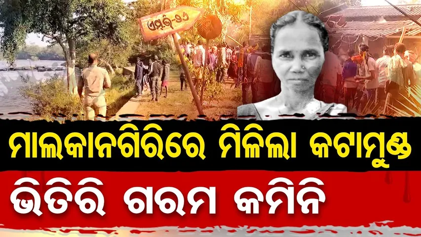 ମାଲକାନଗିରିରେ ମିଳିଲା କଟାମୁଣ୍ଡ ଭିତିରି ଗରମ କମିନି | Odisha Reporter