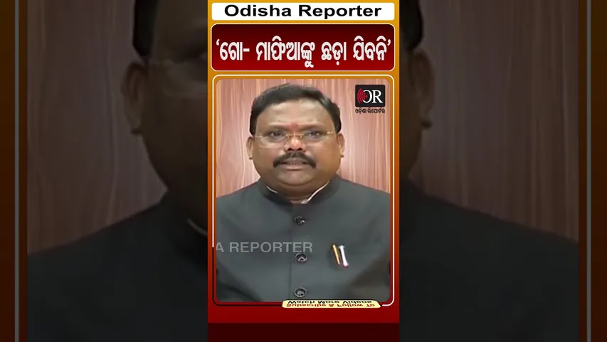 'ଗୋ- ମାଫିଆଙ୍କୁ ଛଡ଼ା ଯିବନି' | Odisha Reporter #CowSmuggling