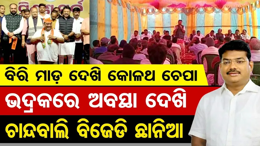 ଭଦ୍ରକରେ ଅବସ୍ଥା ଦେଖି ଚାନ୍ଦବାଲି ବିଜେଡି ଛାନିଆ || BJD Crisis in Bhadrak || Odisha Politics || OR