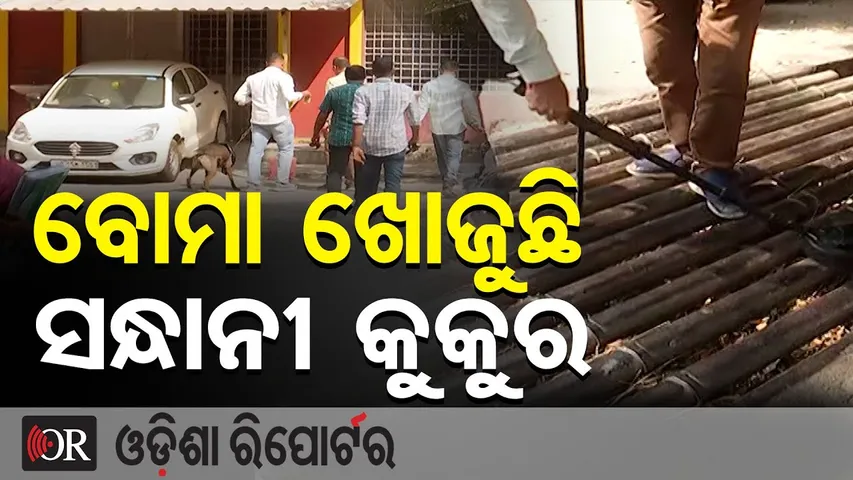ବୋମା ଖୋଜୁଛି ସନ୍ଧାନୀ କୁକୁର | Odisha Reporter
